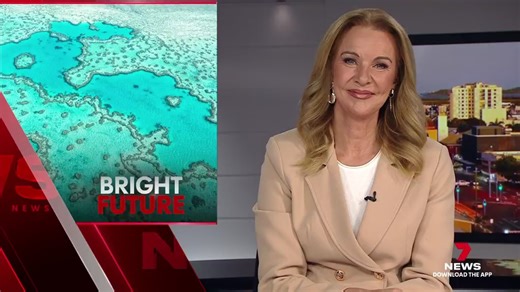 Tourism Whitsunday says the future of the reef's multi-billion-dollar tourism industry looks bright after a new board was inducted. It's hoped the team will lead the region to another record breaking year of spending. Download the 7NEWS app: 7news.link/7newsapp 7NEWS at 6pm. #7NEWS | 7NEWS Mackay