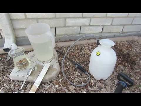 Homemade Insecticidal Soap Spray Recipe - Aphids, White Flies, Spider Mites, etc.