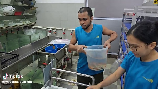 How Fish Counting Machines Transform Aquarium Trade