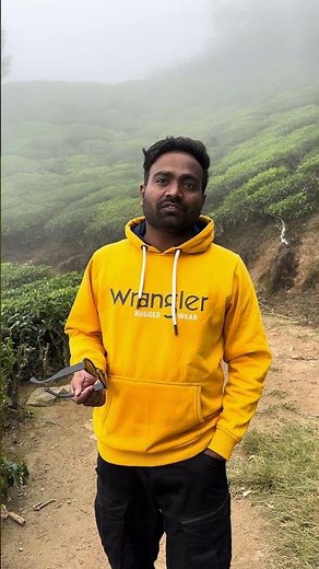 What is Cyber week ? Get deals on courses and certs