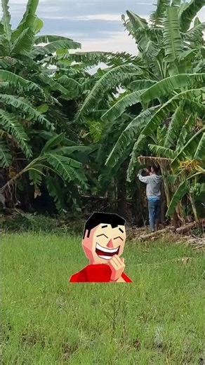 Hawk Fun Moments 😍 | My Smart Bird Flying and Playing 🦅 #funny #fun #shortsfeed