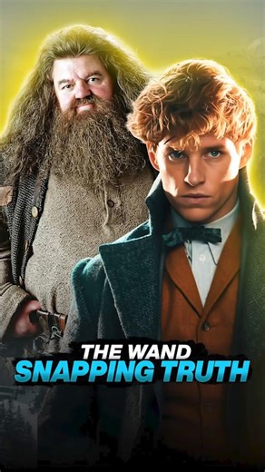 Why Newt Kept His Wand But Hagrid Lost His #fantasticbeasts