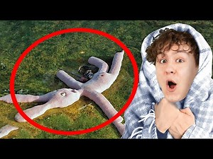 GEHEIME ORTE AUF GOOGLE MAPS FINDEN?!