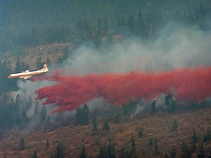 Evacuation alert issued