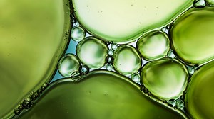 Renewable raw materials | Neste