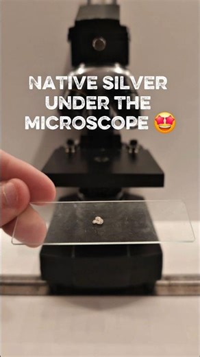 Microscopic observation of a native piece of silver #microscope #science #experiment