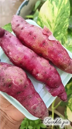 🍠 Amazing Health Benefits of Sweet Potato | Nutritious & Delicious! 🌿