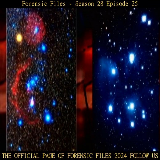 Forensic Files Season 28 Episode 25 Part 1 | Forensic Files 2024