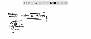 SOLVED:List three allotropes of crystalline carbon.