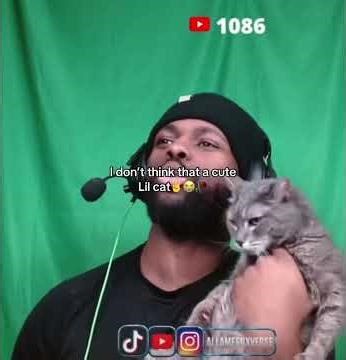 Not cute cat unc #viralvideo #funniestclips #funnyshorts #likeandsubscribe #fypシ゚viral