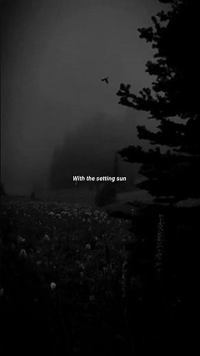 Lily - Alan Walker | lyrics | aesthetic | whatsapp Status | Edit | slowed speed up