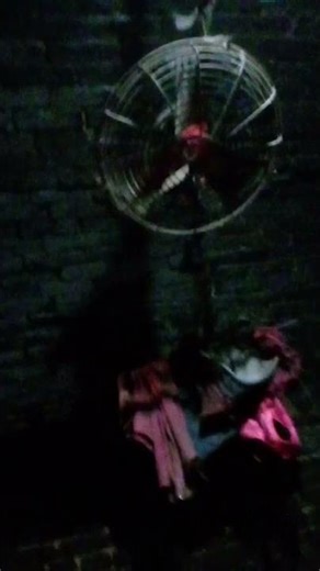 fanne voice wala video