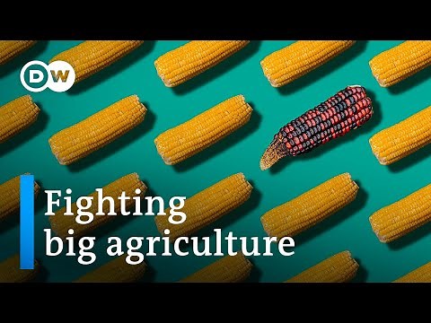 How big agriculture is taking over our diets