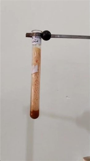 Bloody Organic lab 🧪#experiment #science #chemistrylab #scienceexperiment