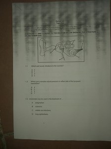 Human earTopic testQuestion 1Various options are provided a... | Filo