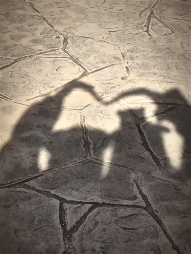 Carmen Yeon Vlog: Heartfelt Moments