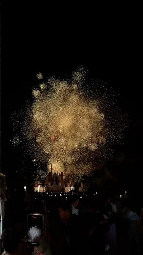 Fireworks Display Shot by iPhone 17 Pro #iphone17pro #iphone #fyp
