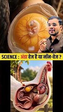 Egg | 🥚 kaise deti hai Murgi ? | #science #education #physics #learning #experiment