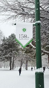 This morning, the Sapporo campus was once again greeted by our old friend: snowfall. ❄️❄️ Not only the streets; buildings’ roofs, trees, vehicles, all are covered with the light and powdery snow, turning the entire campus into a dream-like winter wonderland. By PR&Comm., APR Music: Relaxing by Bensound.com #HokkaidoUniversity #北海道大学 #北大 #winter #札幌 #北海道 #university #campus #snow | Hokkaido University
