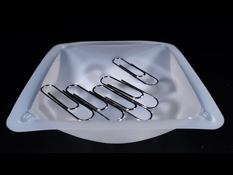 Paper Clips Floating On Water