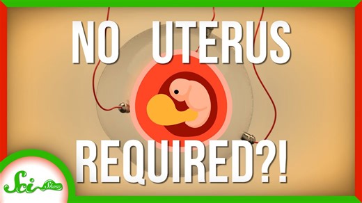 Big breakthrough in artificial wombs | SciShow News