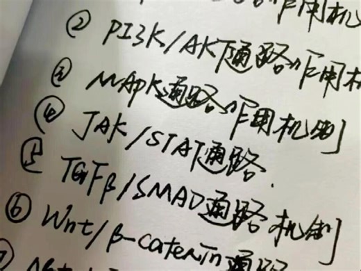 我愿称年度之为信号通路图最伟大的详解