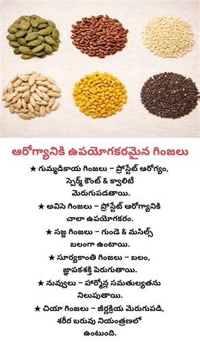 Top Seeds to Improve Prostate & Reproductive Health | Natural Male Wellness Tips