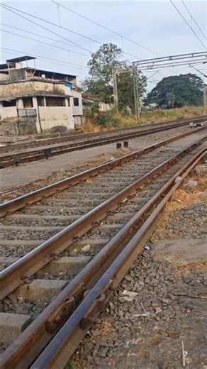 Live highlight I Trainvideosindia I #sunday #live