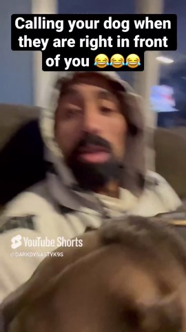 Calling dog while he’s right there confuses him in funny prank
