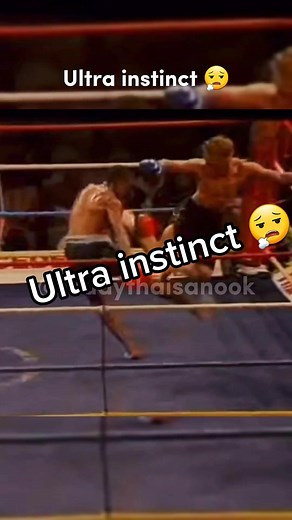 Ramon Dekkers' Ultra Instinct Muay Thai Fight Highlights