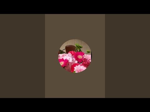 Daday Digman is live