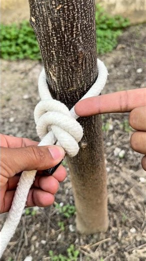 Absolutely The Best And Easiest Knot !