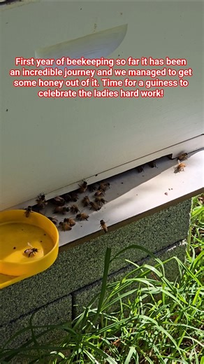 toasting a drink to the bees hard work 🐝 #bee #beekeeping #bee #honeyharvest