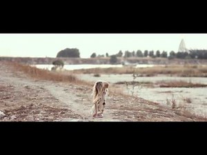 ΕΙΠΕΣ - ΓΙΑΝΝΗΣ ΑΛΕΞOΠΟΥΛΟΣ EIPES- GIANNIS ALEXOPOULOS