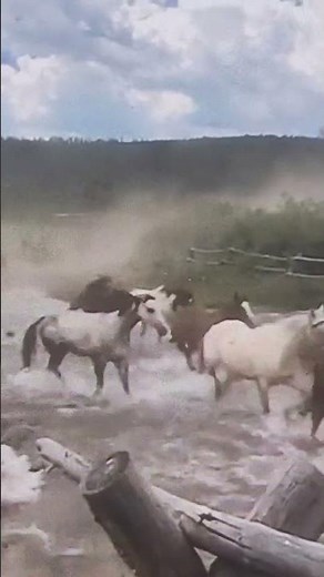 Longmire Days Paradise Guest Ranch