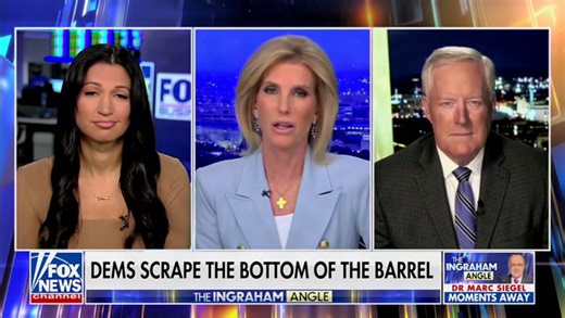 Stephen Miller’s Wife Melts Down at Joy Reid Over Comments About Usha Vance’s Marriage