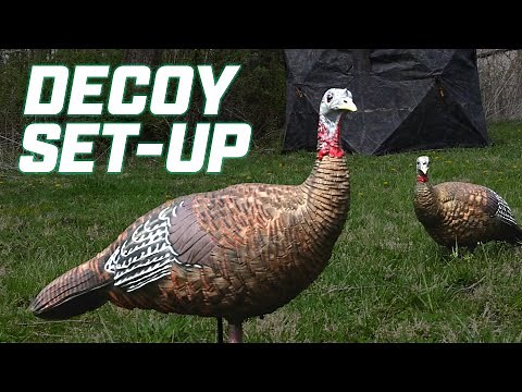 Turkey Hunting - DECOY SET-UP | Avian-X
