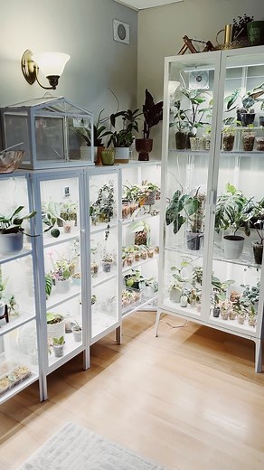 Stephanie’s Plant Collection 🪴 on Instagram: "Milsbo & Baggebo Greenhouses 💚 Here’s an update on cabinets today! I ordered some more Baggebo acrylic shelves from Modern Aqua so I can go ahead and update the Baggebo shelves 🥰 I also ordered acrylic pegboard for Milsbo, which I’m so excited about! I heard it’s also compatible with IKEA Skadis accessories 😱 I can’t wait to start 🥰 Do you have an IKEA greenhouse? What do you love about yours? . . . . . #plantshelfiesunday @ikeagreenhousecabinet