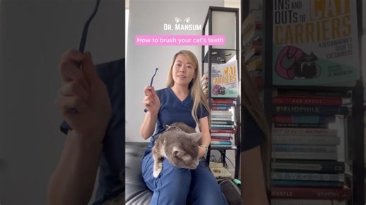 How to brush your cat’s teeth 🪥 🦷 Vet Tips | Dr. Mansum Yau