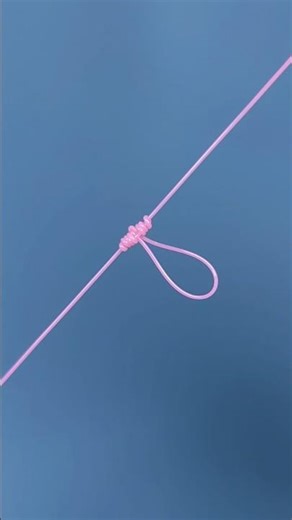 Dropper Loop Knot – Perfect for Bottom Rigs #fishing #fishingshorts #knot #diy #fishingtips
