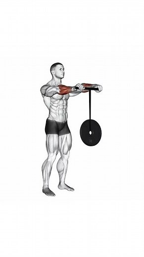 ➡️ Wrist Roller #gymworkout #gym #fitness