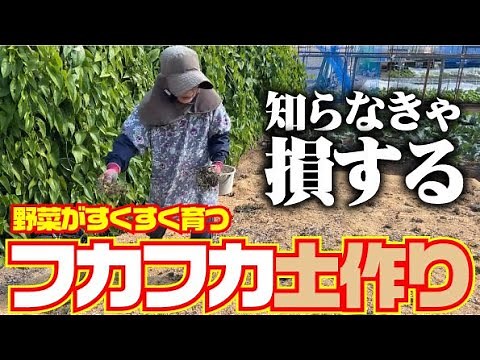 【新・フカフカの土作り】土作りに悩んでいる方必見！【土作】【籾殻】【米ぬか】【マメトラ】【HONDA】【F220】【ミラクルロータ】