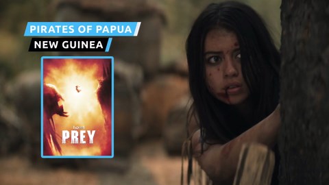 The Entire Predator Story Finally Explained