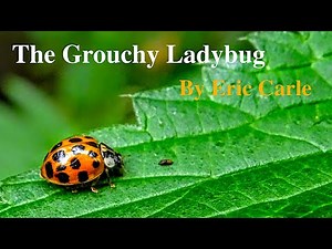 The Famous Children Story The Grouchy Ladybug by Eric Carle | Children | Story