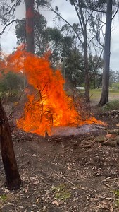 18 reactions | Firebug at it again  | Bunda Bergrum | Facebook