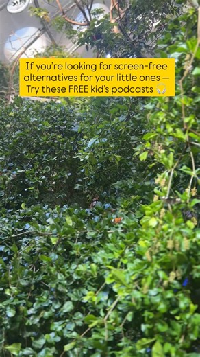 Looking for screen-free ideas that actually keep little ones busy? These are our favorite kids’ podcasts for ages 3–5 — calm, imaginative, and perfect for car rides, quiet time, or those moments when you just need 10 peaceful minutes. ✨ And yes… they’re all completely FREE on Spotify. 🎧 No screens. No prep. Just stories, music, and so much imagination. Save this for your next screen-free day and share with a parent who needs it! 💛🎧 #screenfreekids #toddlermomlife #preschoolactivities #kidspod
