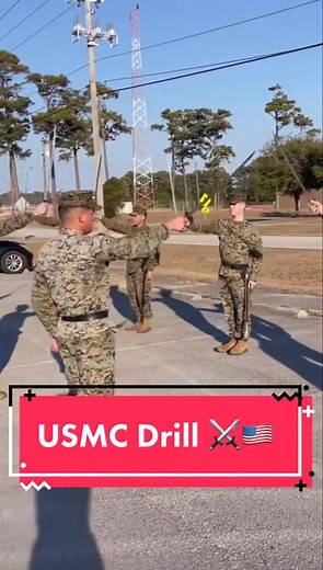 USMC Sword Manual ⚔️🇺🇸 #usmc #getsome #marines #drill #sword #military #semperfi #practice #train #USA #miltok
