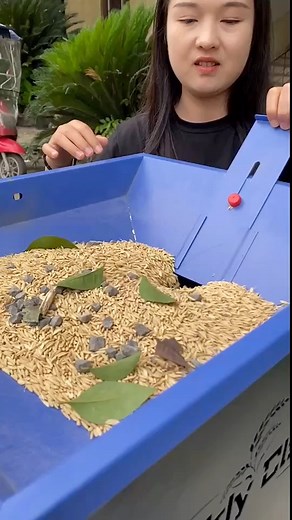 Single phase multifunctional rice milling machine | Mini Rice Mill Machine