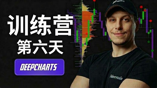 fabio训练营第六天总结，中文教学订单流，orderflow必学基础知识
