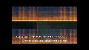 サウンドを可視化して復元